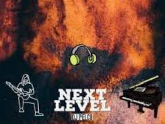 DJ Pelco Next Level Original Mix