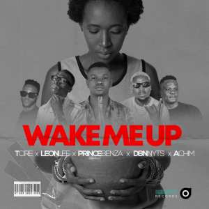 Tcire Wake Me Up Mp3 Download