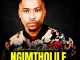 Brandon Dhludhlu Ngimtholile Mp3 Download