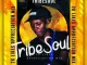TribeSoul Badimo Mp3 Download
