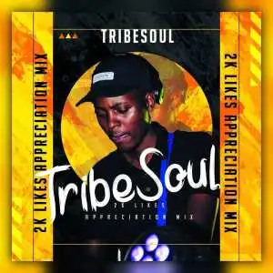 TribeSoul Badimo Mp3 Download