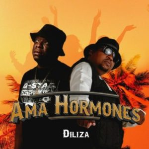 Diliza Ama Hormones Mp3 Download