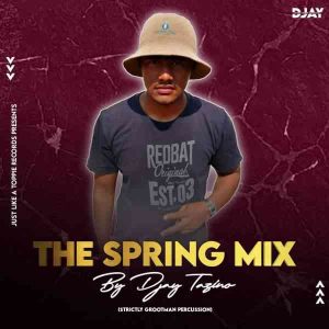 Djay Tazino The Spring Mix Mp3 Download