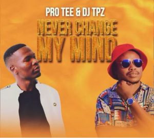 Pro Tee Never Change Mp3 Download