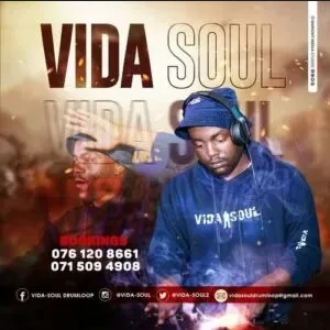 Vida soul Shutdown Mp3 Download