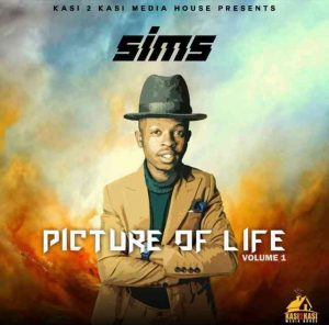 Sims Picture of Life Vol 1 EP Download