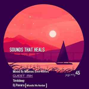 DJ Pavara Sounds That Heals Session Mp3 Download