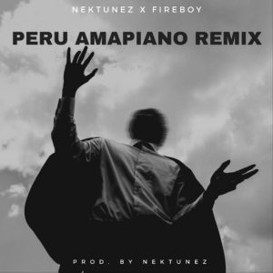 Fireboy DML Peru Mp3 Download