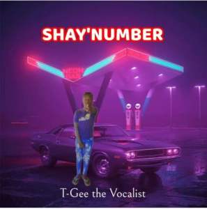 T Gee The Vocalist SHAYNUMBER Mp3 Download