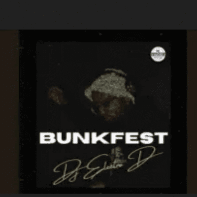 DJ Electro D Bunkfest Mp3 Download