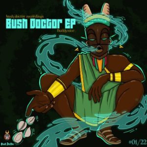 Buddynice Bush Doctor Mp3 Download