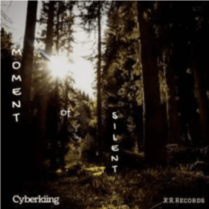 Cyberkiing Moment Of Silence Mp3 Download
