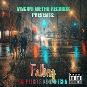 Dj Pelco Falling Mp3 Download