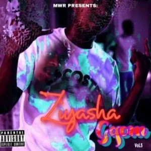 Dj Pelco Ziyasha Gqom Mix Vol.5 Mp3 Download