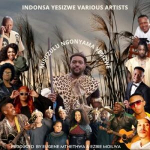 Indonsa Yesizwe Misuzulu Ngonyama Yesizwe Mp3 Download