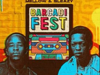 Mellow Sleazy Barcadi Fest Album Download