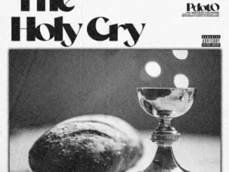Pdot O Holy Ghost Cry Mp3 Download