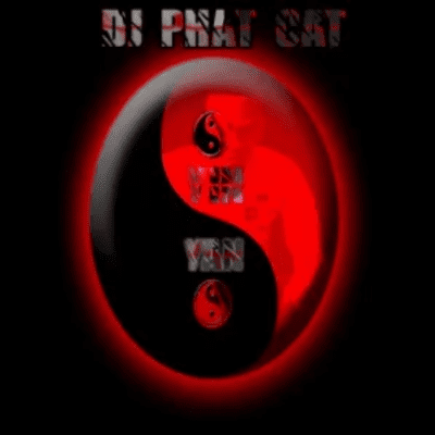 DJ Phat Cat Yin Yan Mp3 Downlooad