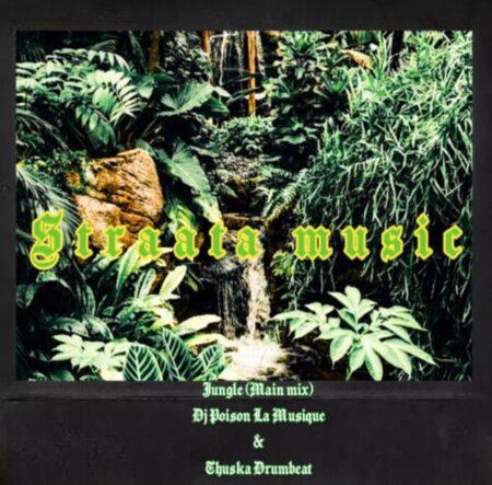 DJ Poison La MusiQue Jungle Mp3 Download