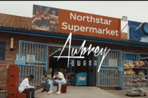 Aubrey Qwana Fireworks Video Download