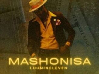 Luu Nineleven Mashonisa Pt. 1 Album Download