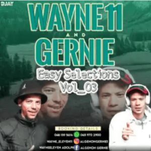 Wayne11 Easy Selections 03 Mix Download