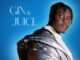 DJ Michel Gin Juice Mp3 Download