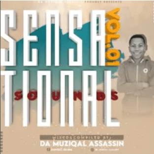 Da MusiQal Assassin Sensational Sounds Vol.1 Mix Download