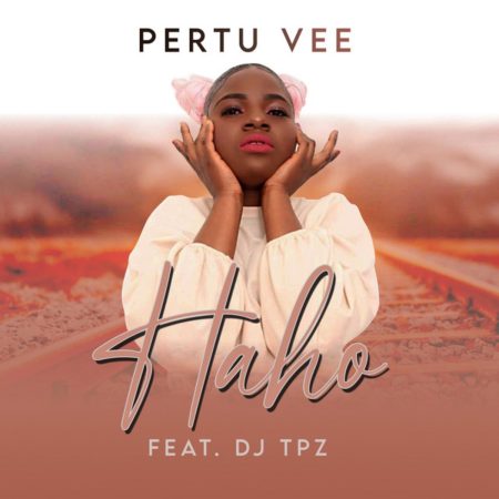 Pertu Vee Haho Remix Mp3 download