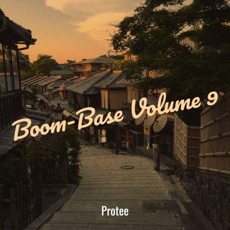 Pro Tee Boom Base Volume 9 Album Download