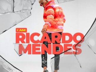Ricardo Mendes Gettin Money Mp3 Download