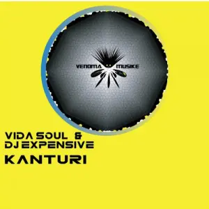 Vida soul DJ Expensive Kanturi EP Download