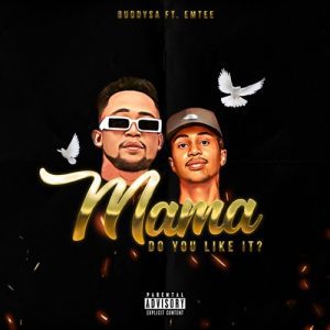BuddySA Mama Do You Like It Mp3 Download