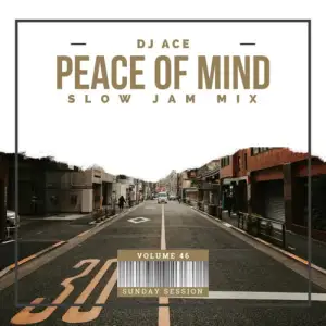DJ Ace Peace Of Mind Vol 46 Download