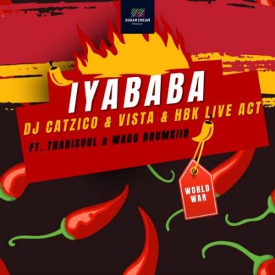 DJ Catzico Iyababa Mp3 Download