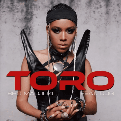 Sho Madjozi Toro Mp3 Download