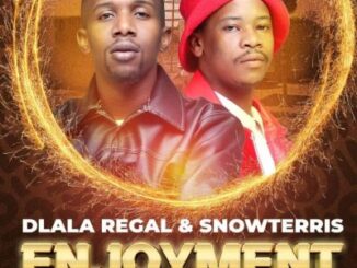 Dlala Regal Enjoyment EP Download