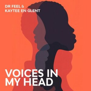 Dr Feel Voices In My Head Mp3 Download
