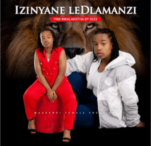 Izinyane le Dlamanzi Isandla Somndeni Mp3 Download