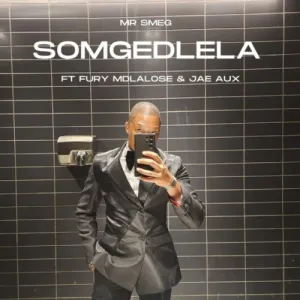 Mr Smeg Somgedlela Mp3 Download