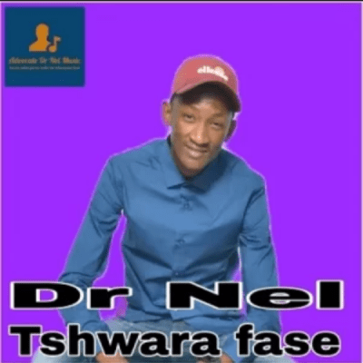 DR NEL TSHWARA FASE Mp3 Download
