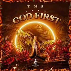 TNS Freedom Mp3 Download