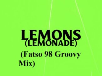 AKA Lemonade Fatso 98 Groovy Mix Download