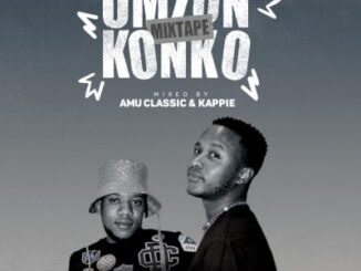Amu Classic Umzonkonko Mp3 Download