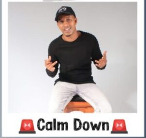 DJ Ace Calm Down Mp3 Download