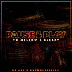 DJ Ace Pause Play Mp3 Download