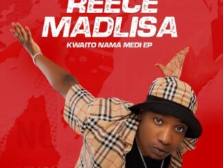 Reece Madlisa Kwaito Nama Medi EP Download