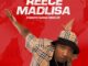 Reece Madlisa Sizama impilo Mp3 Download