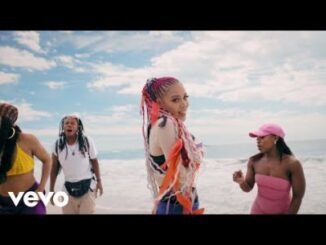 Sho Madjozi Chale Video Download