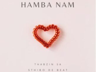 Thabzin SA Hamba Nam Mp3 Download